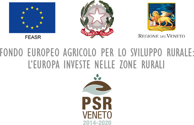 logo fondo europeo agricolo